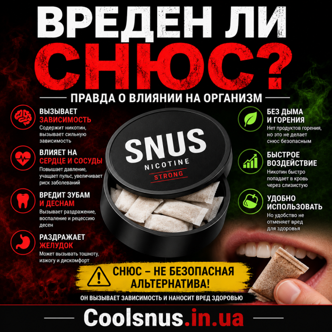 Вреден ли снюс — полный разбор
